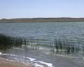 Mechanisms producing variation in lake salinity in dune environments