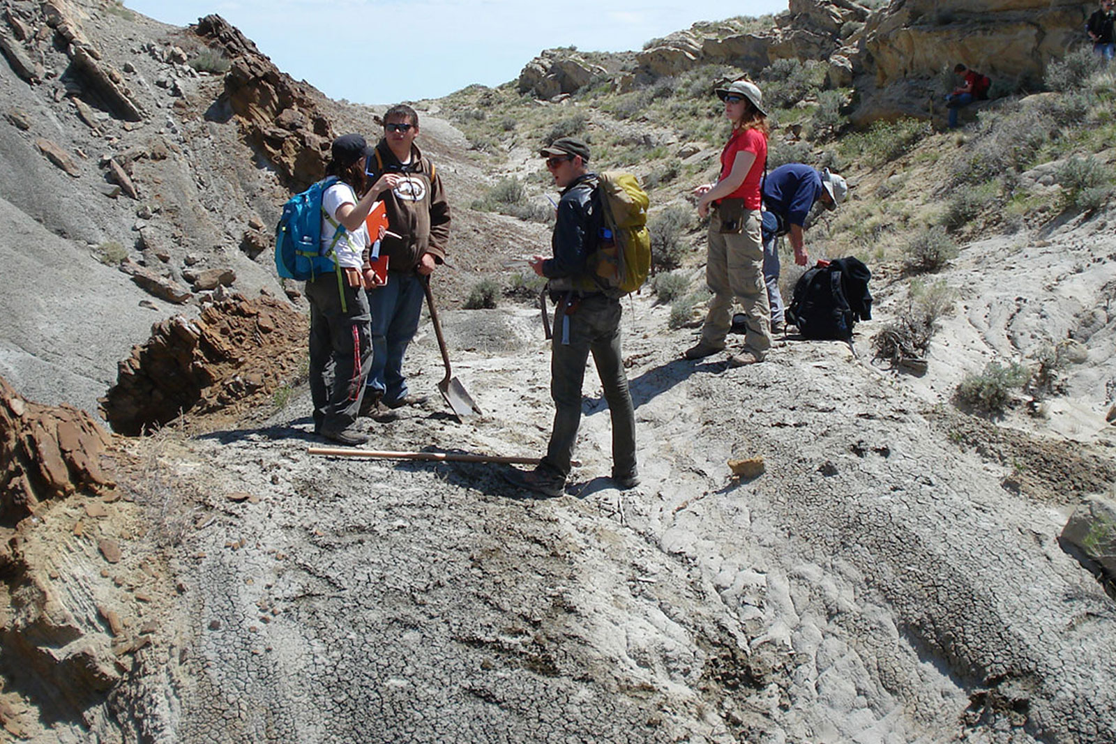 People in the field