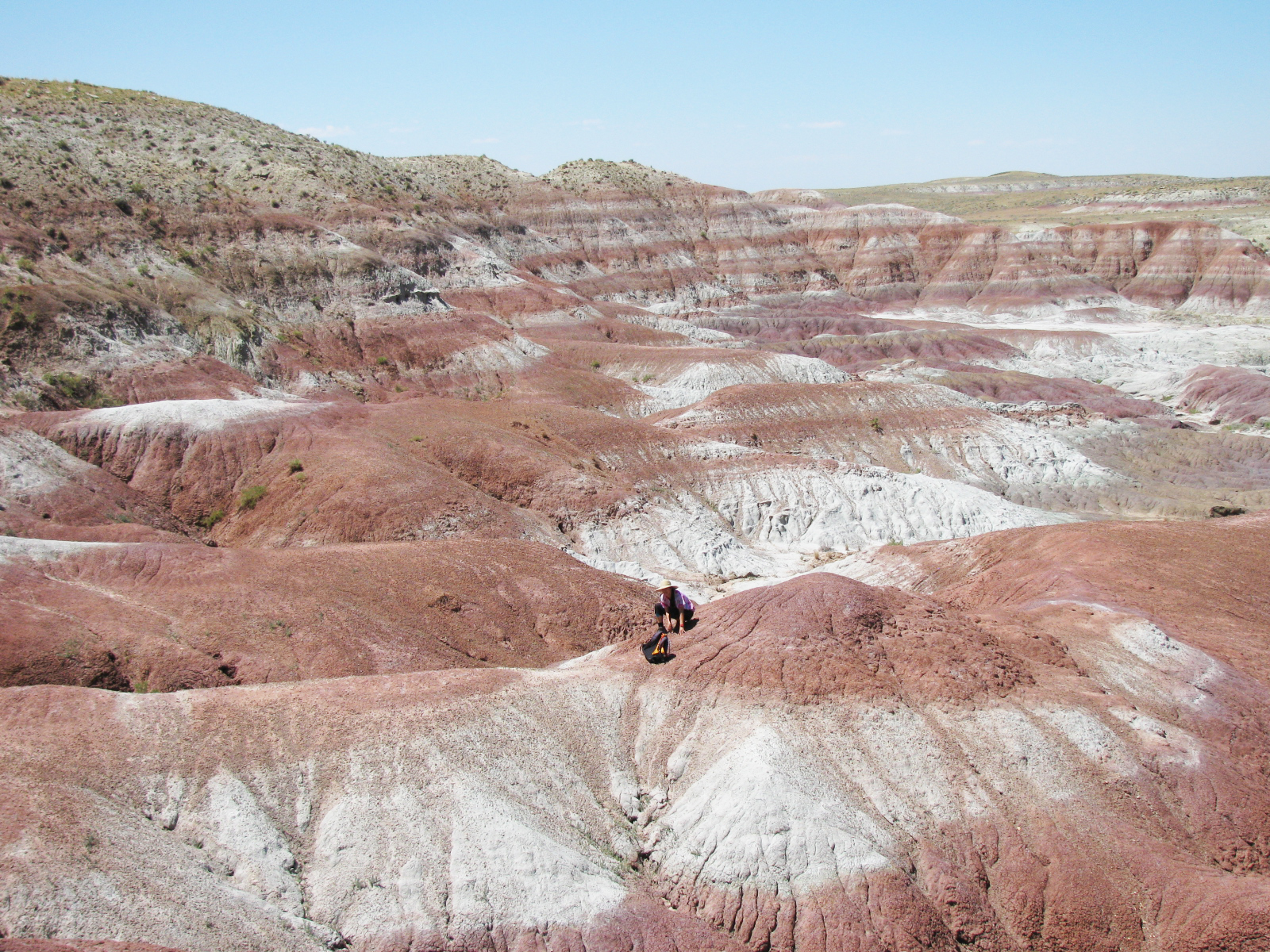 Badlands in the Wind River Basin, Wyoming, preserving mammal fossils from the Early Eocene Climatic Optimum.