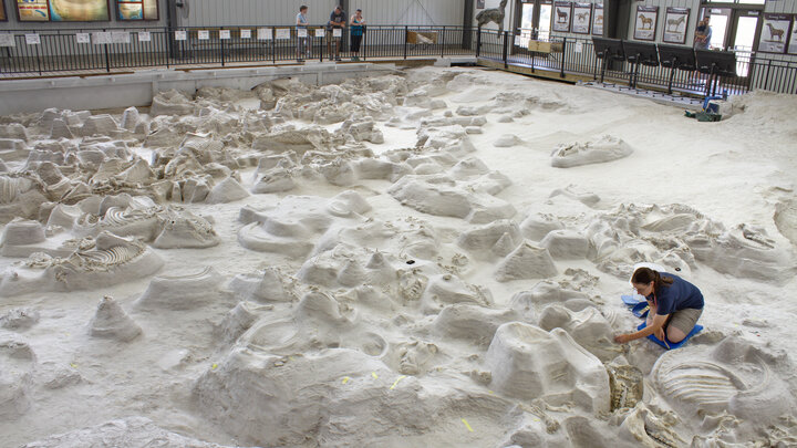 Visitors to Ashfall Fossil Beds State Historical Park can watch as paleontologists uncover new fossils in the 17,500-square-foot Hubbard Rhino Barn.