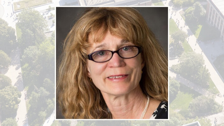 Sherilyn Fritz