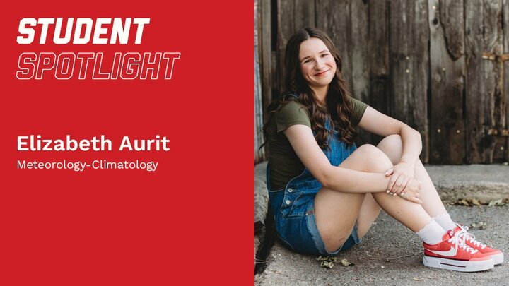Aurit