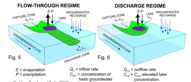 Conceptual model of lake salinity